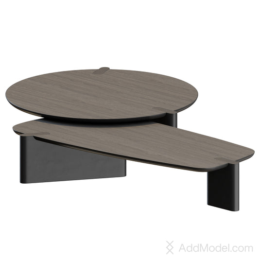Flatiron Coffee Table By Bonaldo 3D Model