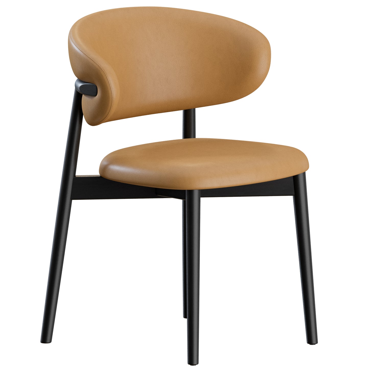 Oleandro Chair Wood By Calligaris 3D Model