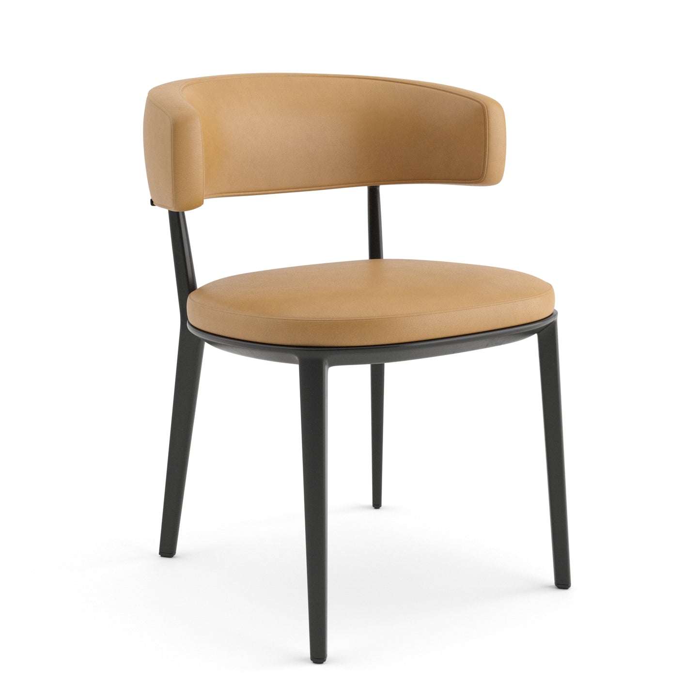 Italian Chairs 3D Model