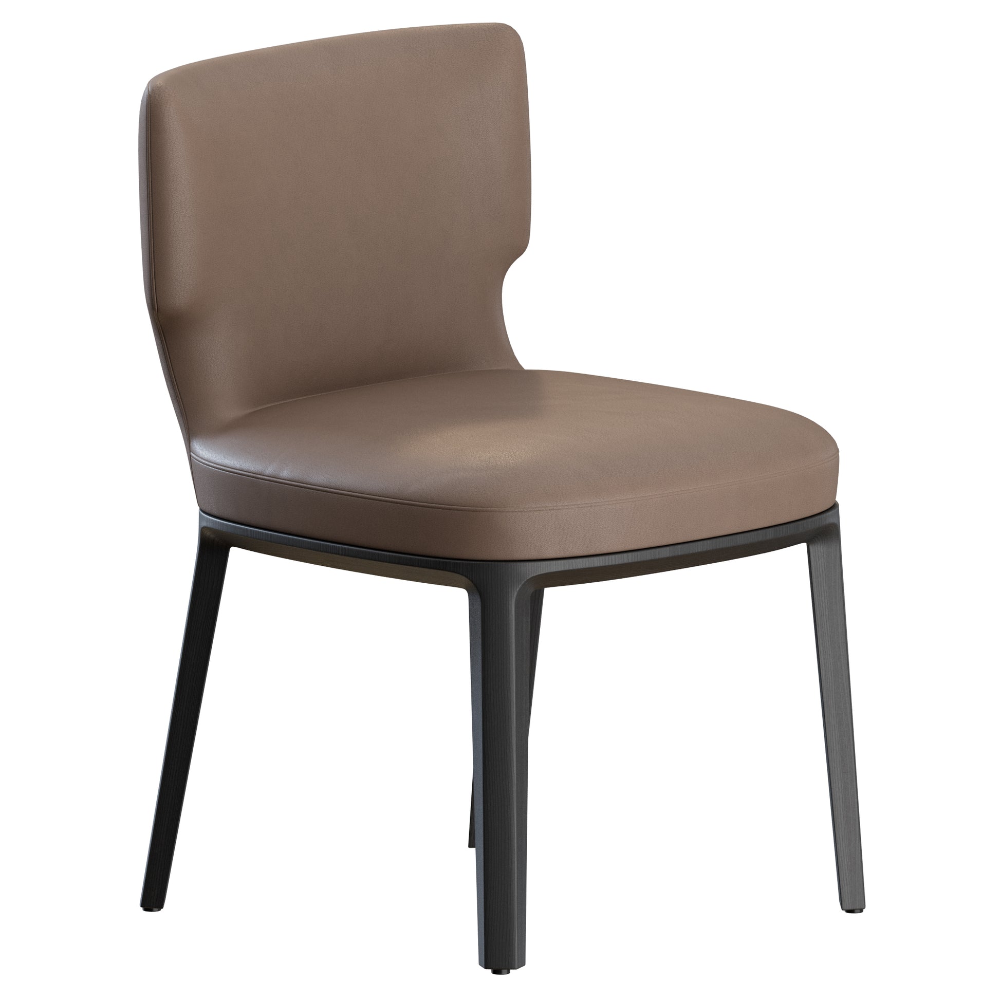 Ami Chair by De Padova 3D Model