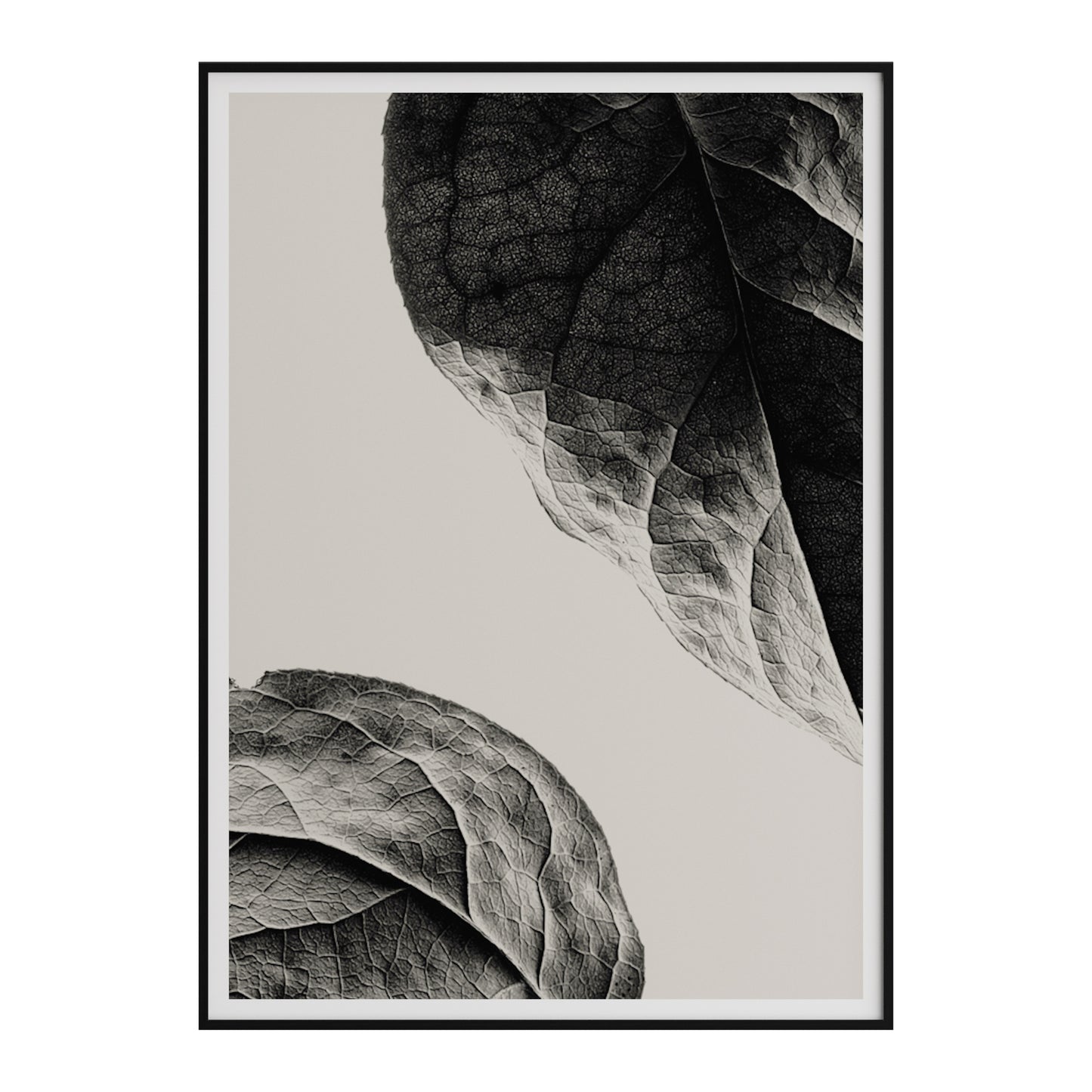 Sabi Leaves Art Prints By Norm Architects | 3D Model